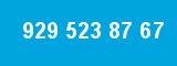 929 523 87 67